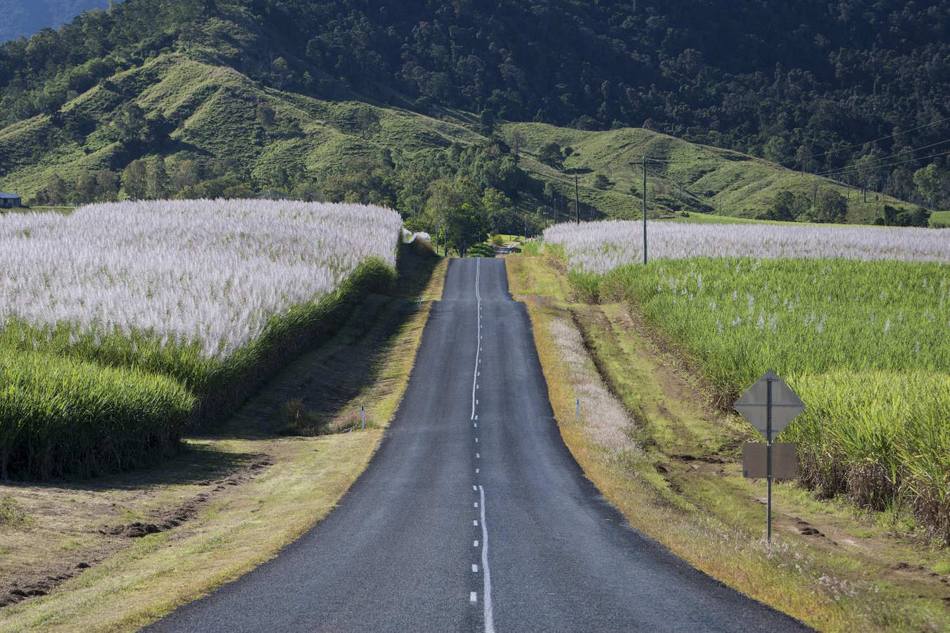 Straße von Mackay nach Eungella